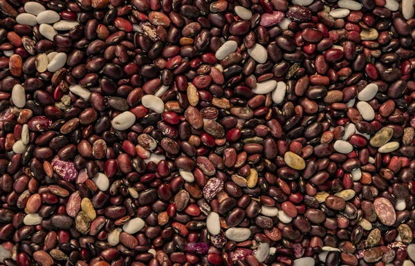 Bean Beans Dark Colors Top View Closeup Seamless — Stock Photo, Image