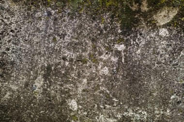 Aşırı gelişmiş gözenekli beton dokusu grisi