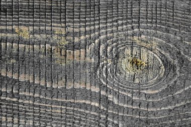 Eski doğal ahşap dokusu gri çizgili rahatlama