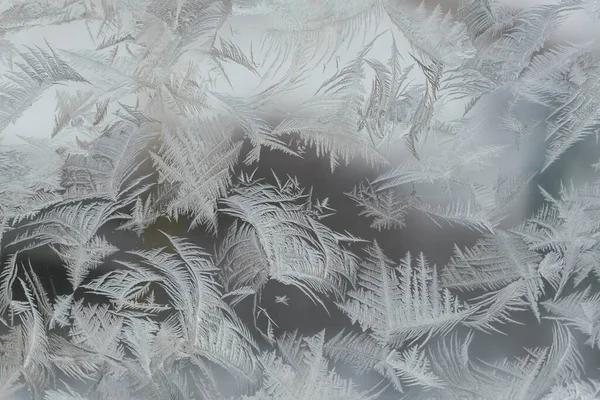 Padrão gelado na janela na estação de inverno — Fotografia de Stock