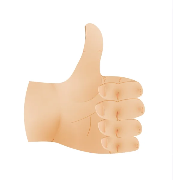 Human hand shows thumb up — Stock Vector