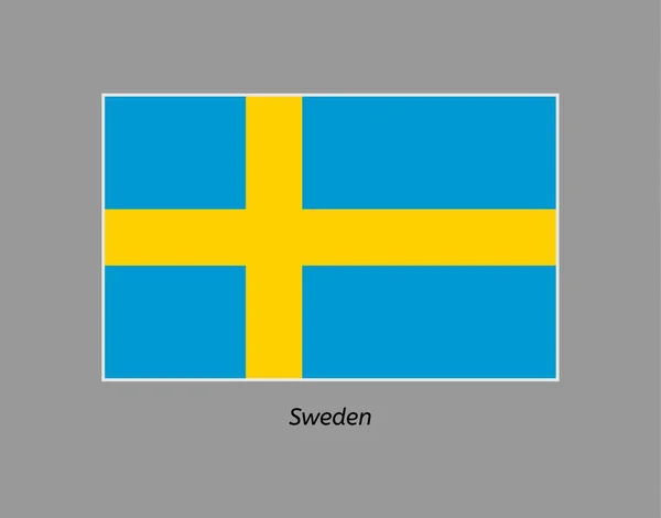 Švédská vlajka — Stockový vektor