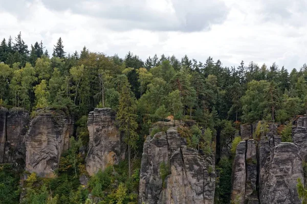 Kumtaşı kaya - Prachovske skaly (Prachov kayalar) — Stok fotoğraf