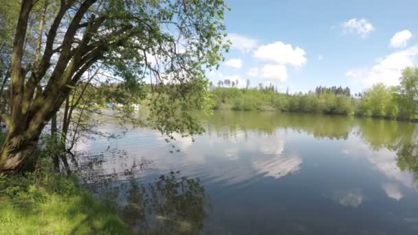 A lagoa cercada por árvores . — Vídeo de Stock