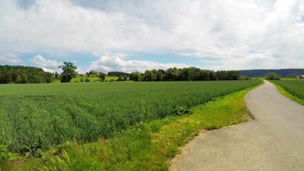 Camino entre dos campos de trigo — Vídeo de stock
