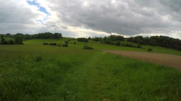 Wandern auf der Frühlingswiese. — Stockvideo