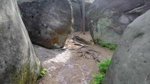 Walk on the forests tracks between rocks — Stock Video