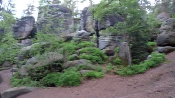 Walk on the forests tracks between rocks — Stock Video