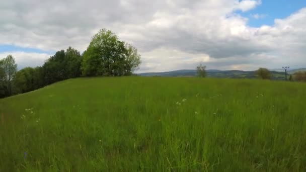 Bahar çayırda yürüyüş. — Stok video