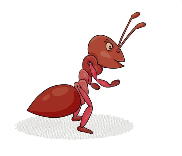 Hormiga roja aislada sobre fondo blanco . — Archivo Imágenes Vectoriales