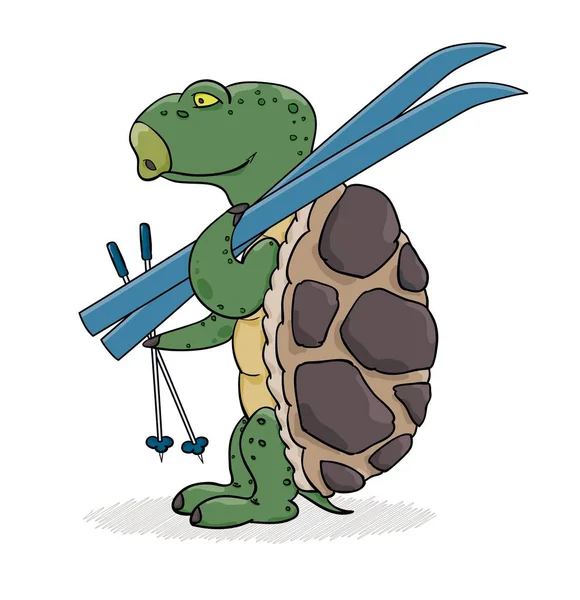 Sköldpadda med blå skidor redo för skidåkning. — Stock vektor