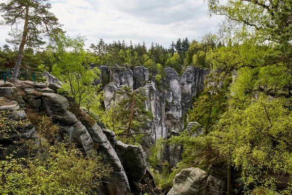 Kumtaşı kaya - Prachovske skaly (Prachov kayalar) — Stok fotoğraf