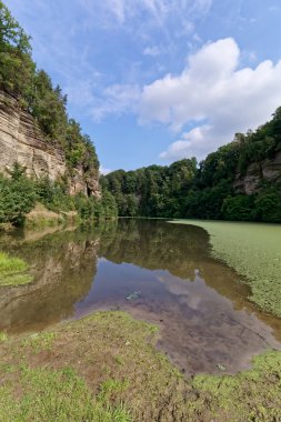 Castle Kost yakınındaki Cerny rybnik. Çek Cumhuriyeti