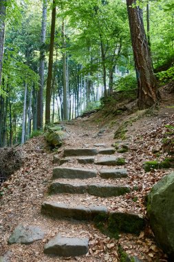 Yeşil Orman Köyü Mala Skala korumalı alan bohem Paradise (Cesky Raj), Liberec Region, Çek Cumhuriyeti, Europe yakınındaki ile taş iz
