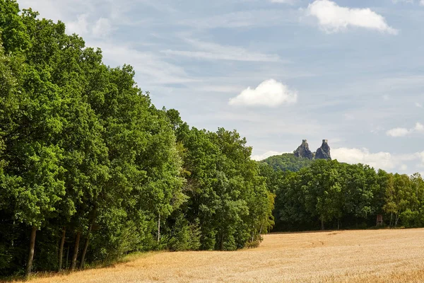 中世ゴシック様式城国立公園チェスキー ラージュ ボヘミアン楽園 Trosky の遺跡 その塔は 古い女性 とパンナコッタ と呼ばれます リベレツ地域 — ストック写真