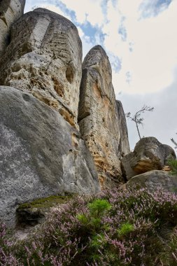 Korumalı alan bohem Paradise (Cesky Raj), Liberec Region, Çek Cumhuriyeti, Europe Hruba Skala Rönesans castle civarındaki kumtaşı taşlarla yatay görünümünü