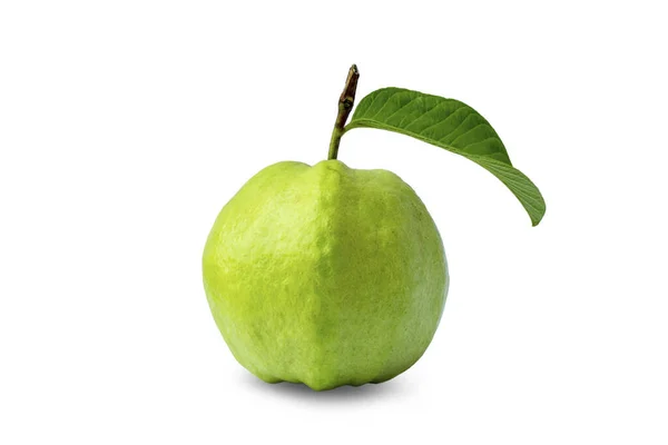Guava Frukt Och Guava Blad Frukter Med Hög Vitamin Bidra — Stockfoto