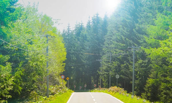 Yol Kırsal Kesimde Ağaçlarla Çevrili Tepelerin Ortasında Bomboş Parlak Mavi — Stok fotoğraf