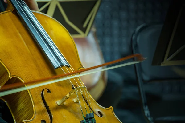 Muzycy Wiolonczelowi Ćwiczą Grają Pomocą Wiolonczeli Celów Rozrywkowych — Zdjęcie stockowe