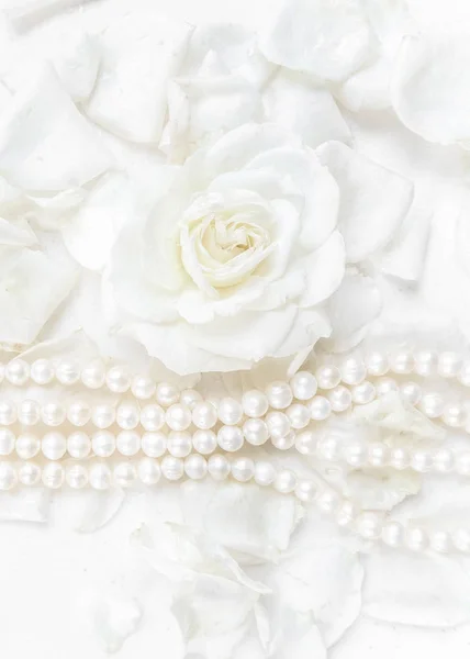 Schöne weiße Rose und Perlenkette auf einem Hintergrund von Blütenblatt — Stockfoto