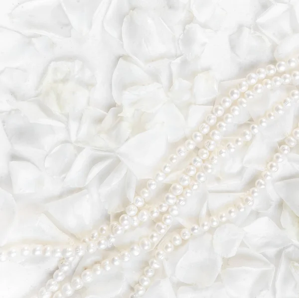 Pearl necklace on a background of white rose petals. Ideal for g — 스톡 사진