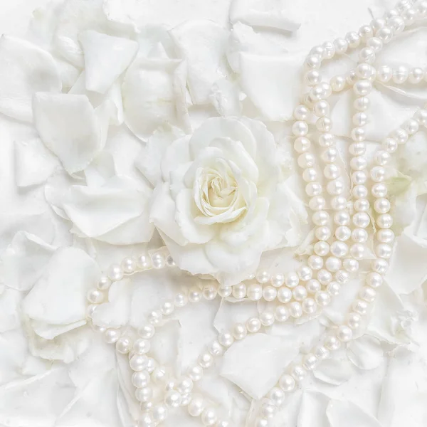 Beautiful white rose and pearl necklace on a background of petal