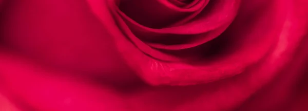 Conceito Botânico Cartão Convite Casamento Foco Suave Fundo Floral Abstrato — Fotografia de Stock