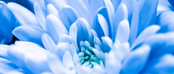 Ретро Искусство Винтажная Карта Ботаническая Концепция Абстрактный Цветочный Фон Голубой — стоковое фото
