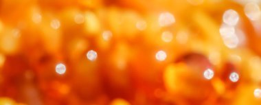 Parlak renkler kehribar, güneşli ışık arka plan, Bokeh 'in ışığını bulanıklaştırdı.