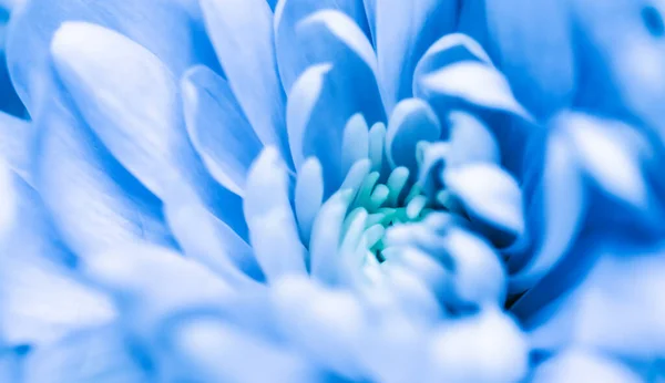 Ретро Искусство Винтажная Карта Ботаническая Концепция Абстрактный Цветочный Фон Голубой — стоковое фото