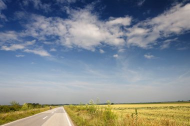 Kırsal manzara ve yol