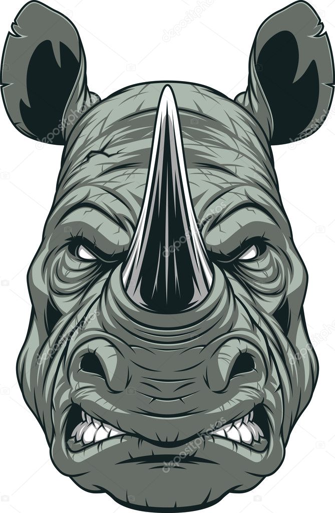 Ferocious rhinoceros head