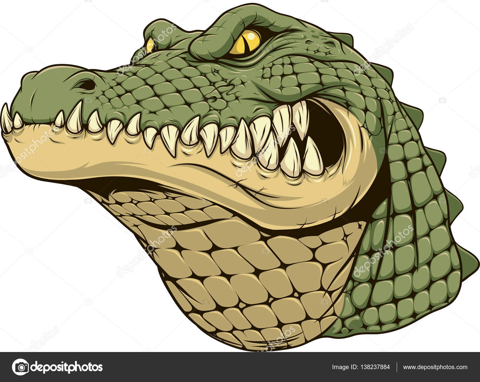 Cabeza de cocodrilo feroz Imagen Vectorial de © Andrey_Makurin
