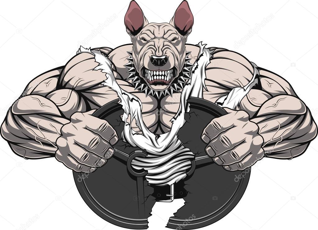 Angry dog bodybuilder