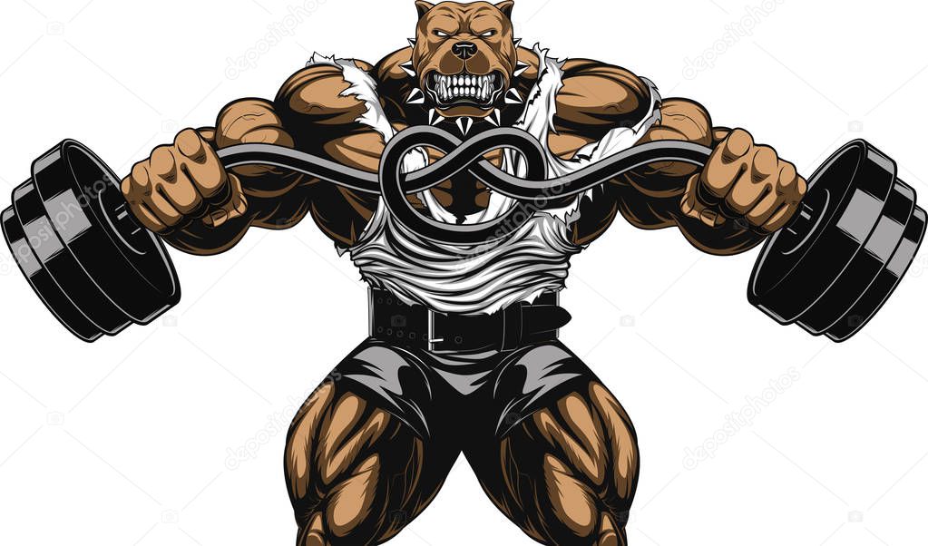 Angry dog bodybuilder — Stock Vector © Andrey_Makurin #142962781