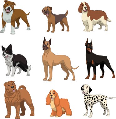 Safkan köpekler ayarla 