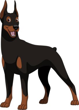  Komik safkan Doberman 