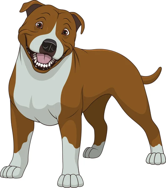 Divertido pura raza Staffordshire Bull Terrier — Vector de stock