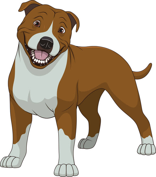 Funny purebred Staffordshire Bull Terrier