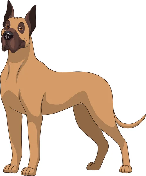 Grappige rasechte Duitse hond — Stockvector