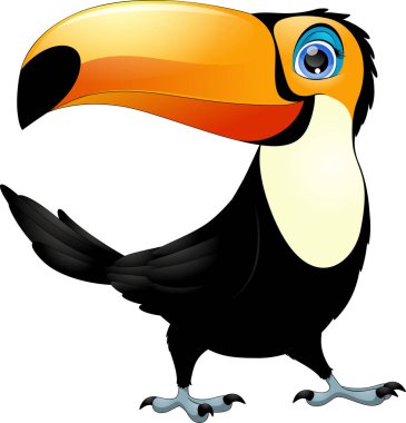 Neşeli Toucan kuş
