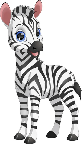 Ładny zabawny zebra — Wektor stockowy