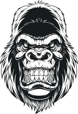 Vahşi goril kafası.