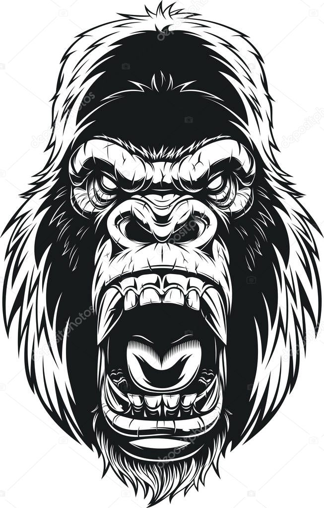 Vector illustration, ferocious gorilla head on background