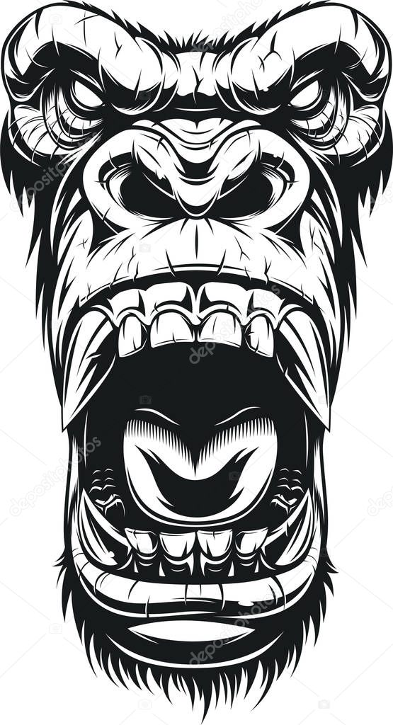 Vector illustration, ferocious gorilla head, on white background, sketch