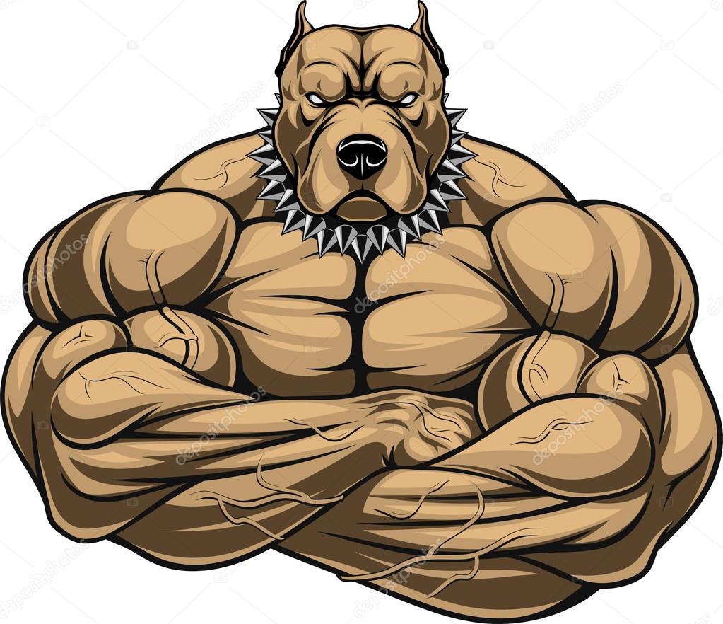 Angry dog bodybuilder
