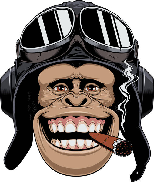 Обезьяна в шлеме
