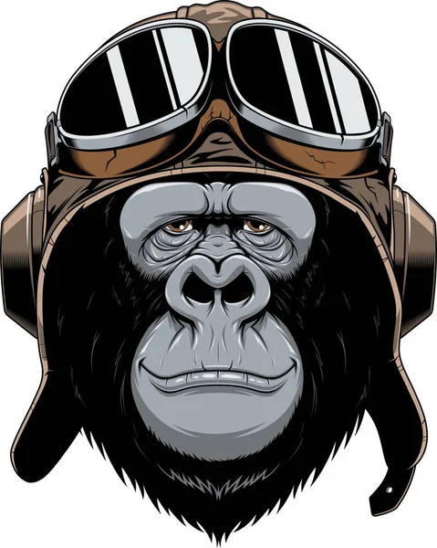 Monkey in helmet pilot — Stock Vector