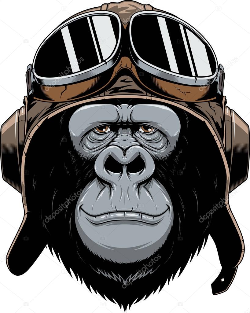 Monkey in helmet pilot 