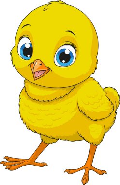 Küçük komik tavuk